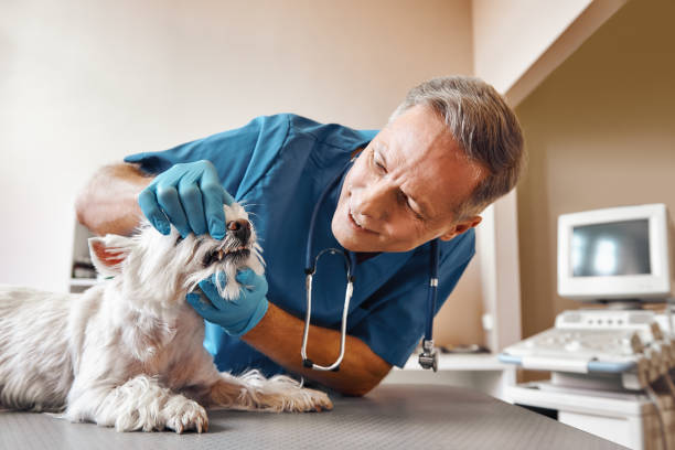Best Same-Day Emergency Dental Services in Hapeville, GA